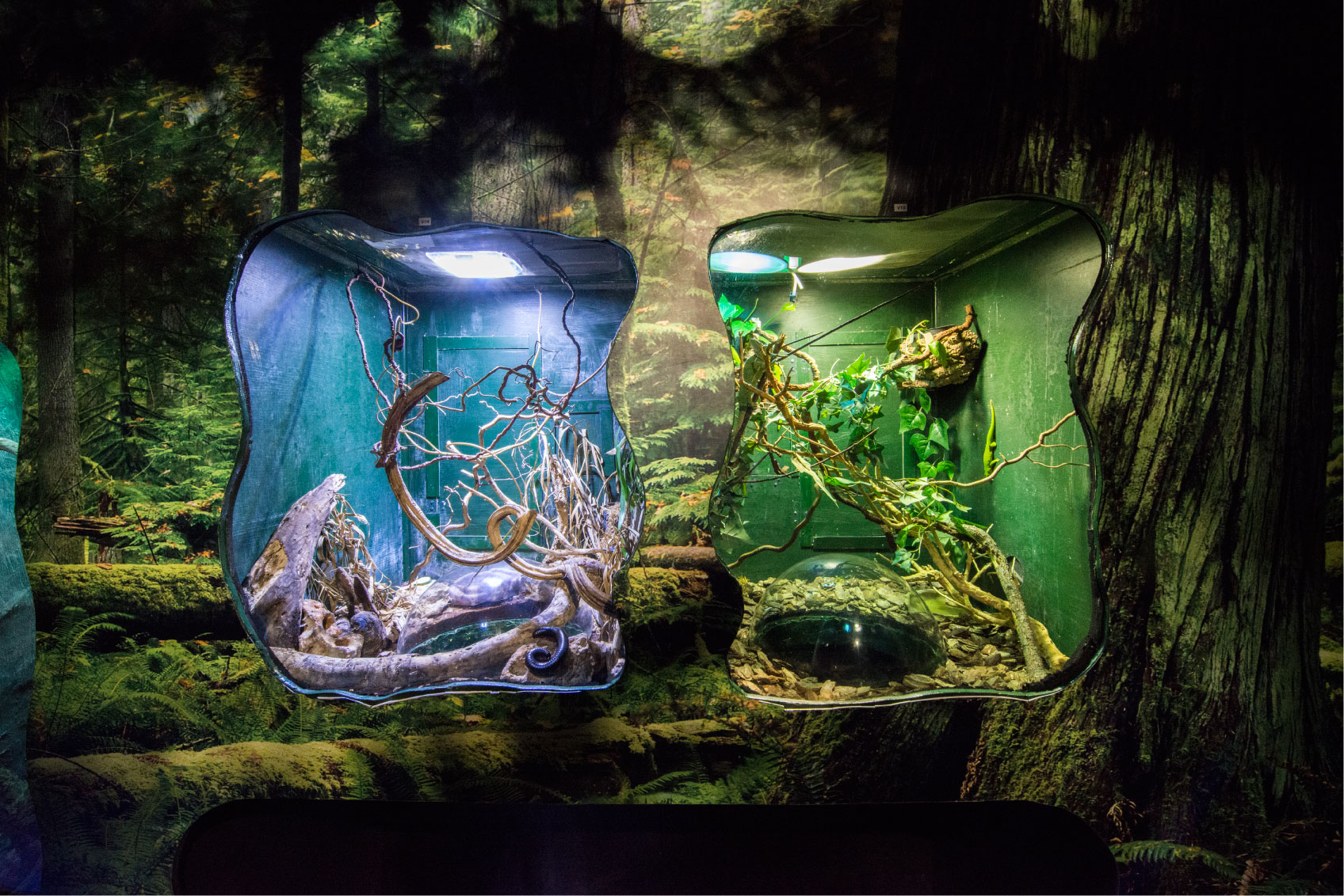 Reptiles and Amphibian area Malta National Aquarium