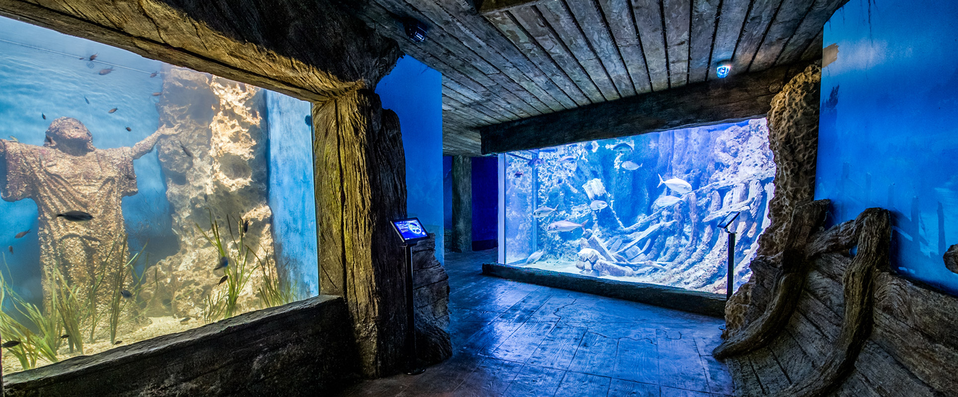 Zone 4 Roman Times Malta National Aquarium