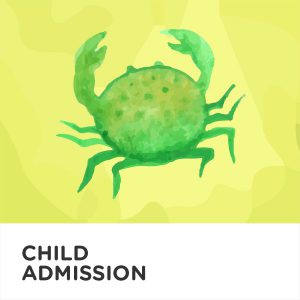 Child Ticket (4-12yrs)