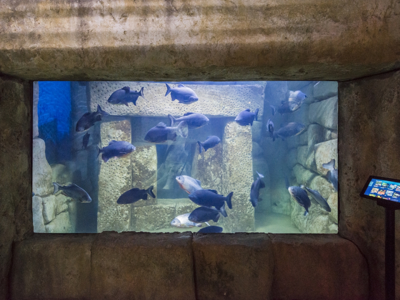 Gallery & Video Malta National Aquarium