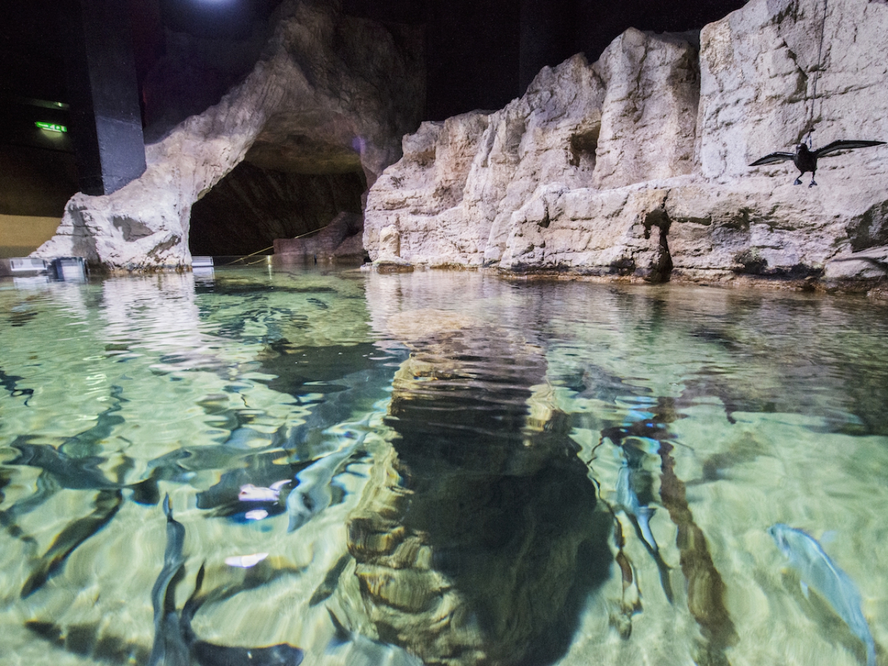 Gallery & Video Malta National Aquarium