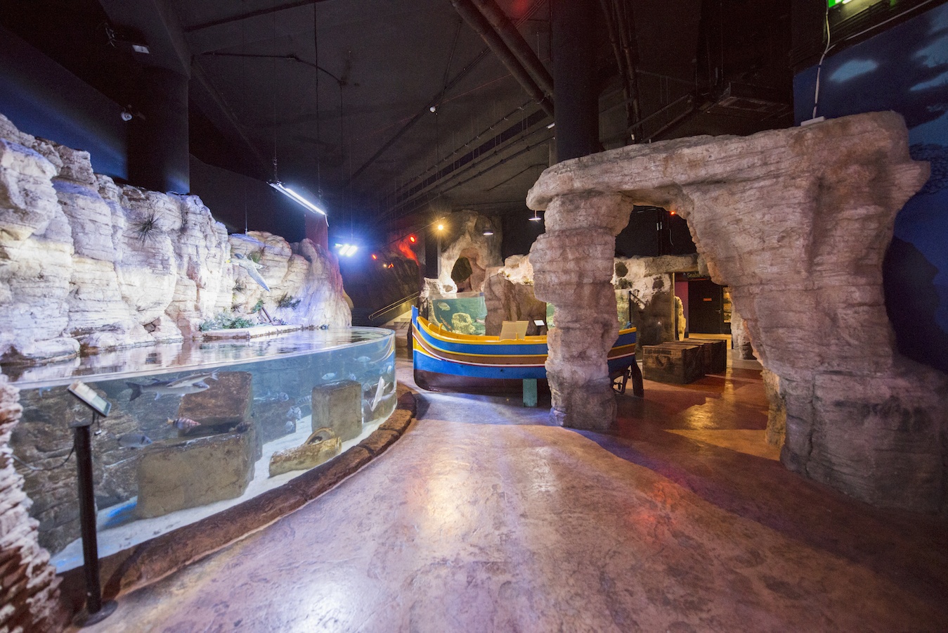 Gallery &amp; Video - Malta National Aquarium