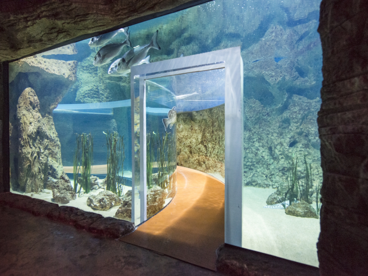 Gallery & Video Malta National Aquarium