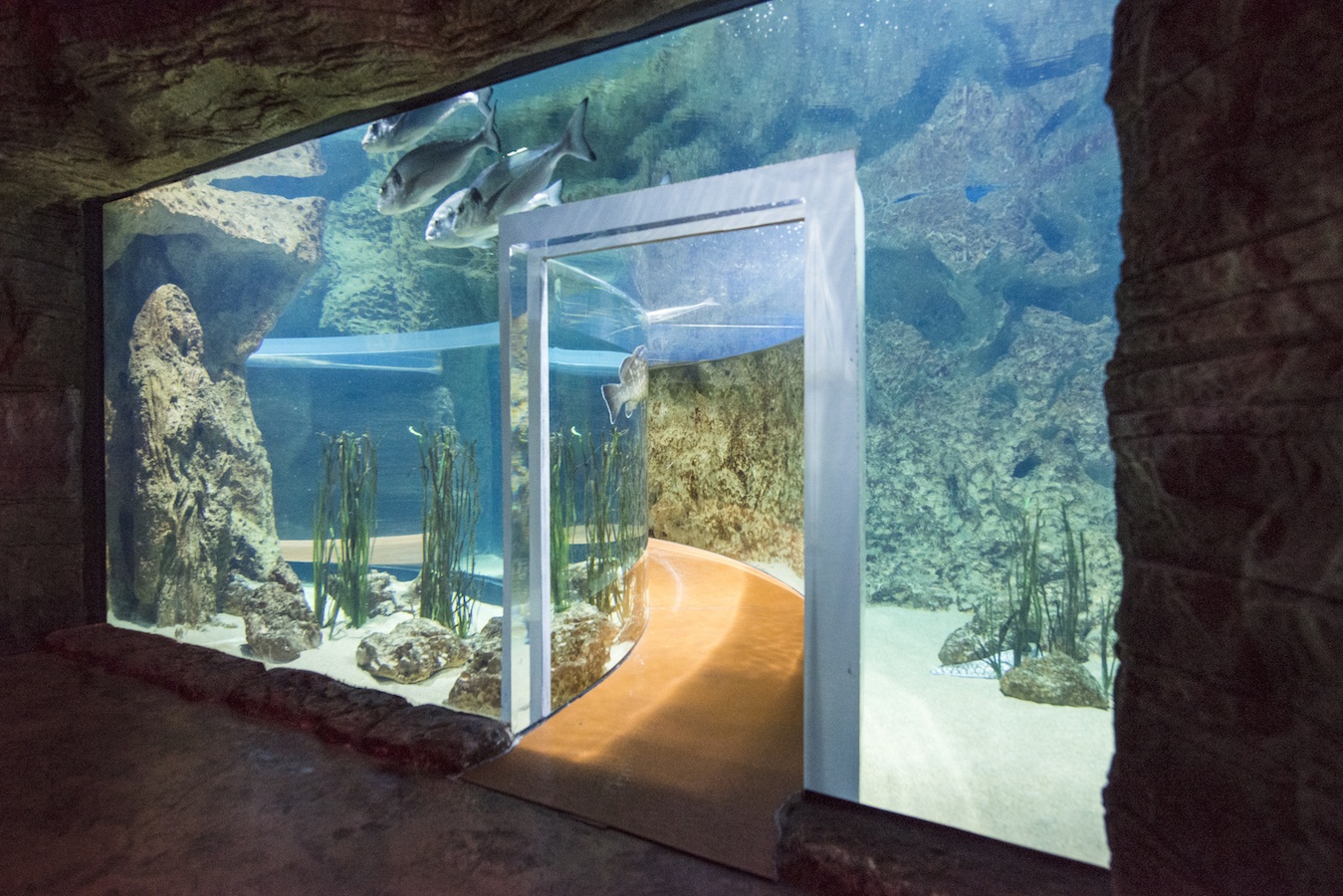 Gallery & Video Malta National Aquarium