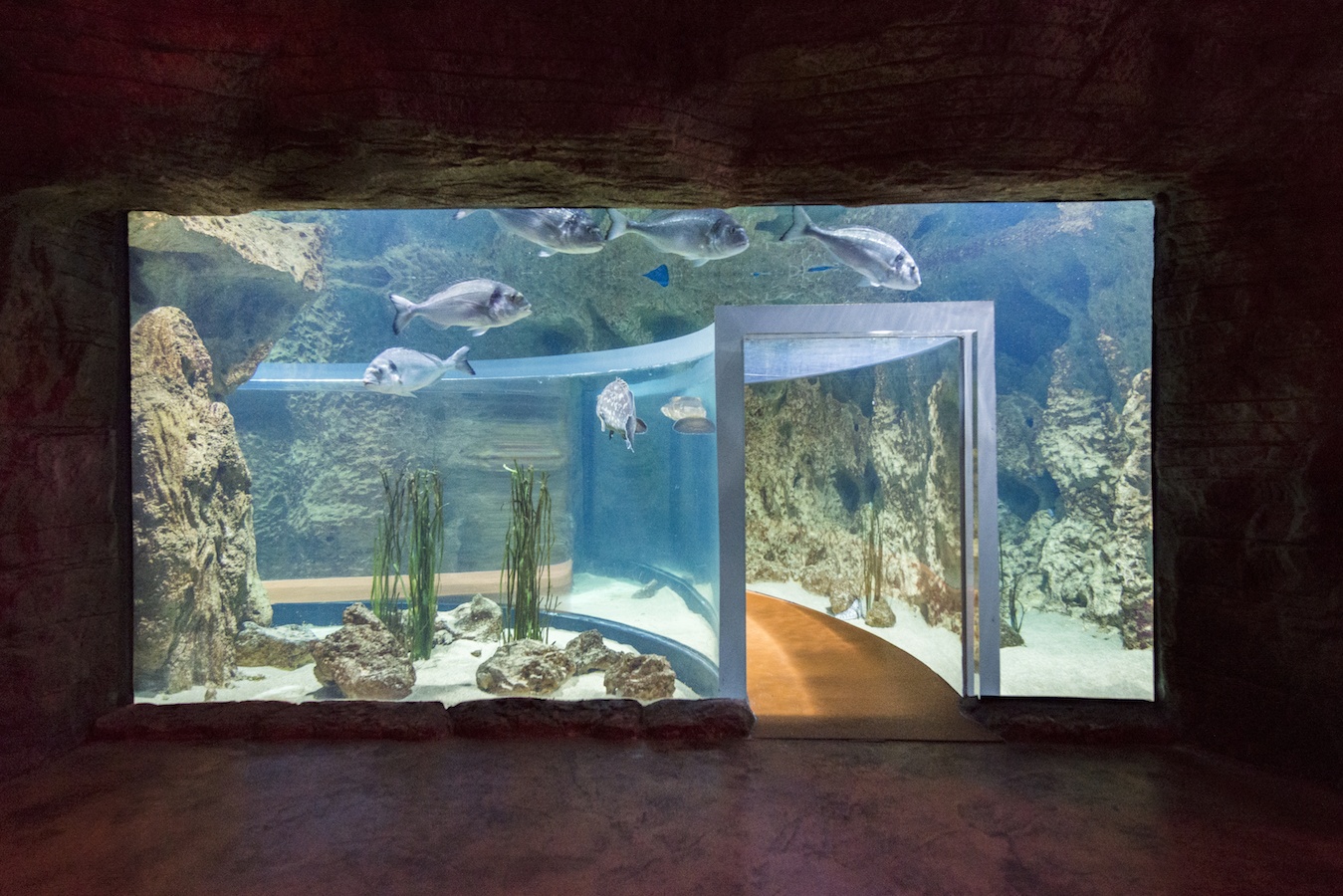 Gallery & Video Malta National Aquarium