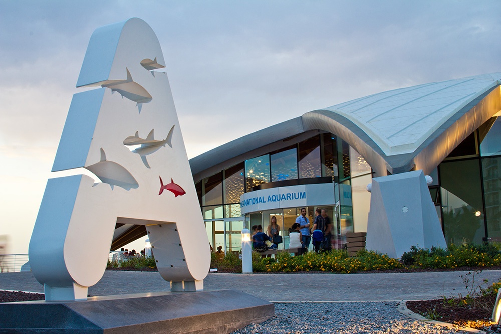 Malta Attraction Aquarium