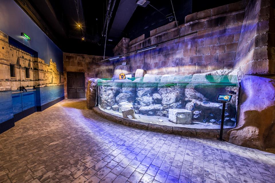 Visit the Aquarium on a rainy day