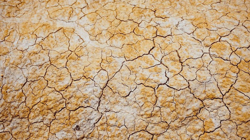 dry soil