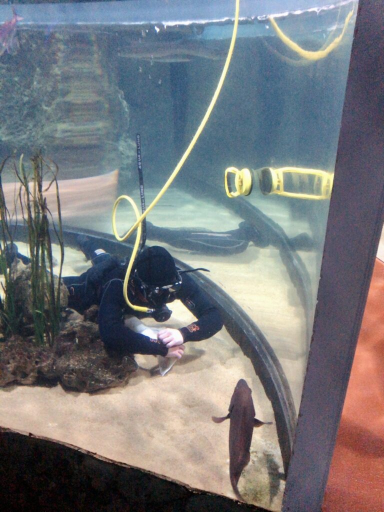 Aquarist Cleaning a tank
